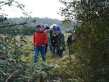 Broomscot Common work party, December 2010