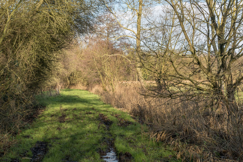 The new land, Thelnetham © A. Rivett