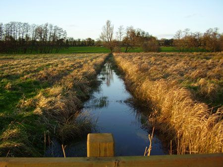 The ditch in 2006