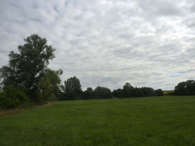 The new meadow, Hinderclay © R. Langston